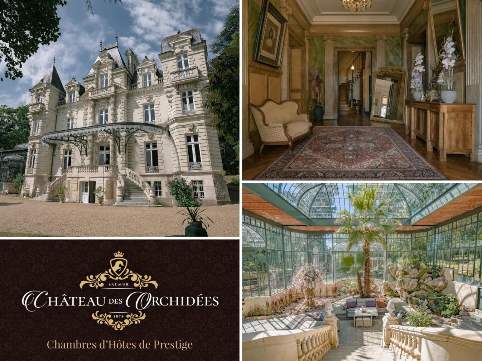 Chateau Des Orchidees En Val De Loire Saumur Luaran gambar